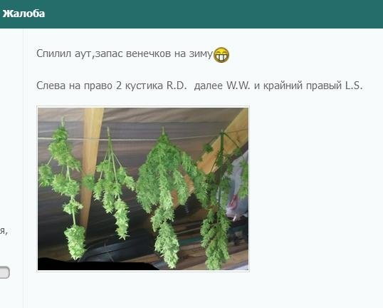 23436460_32.thumb.JPG.383f2949605410aa20ffa83c2ef4a6cb.JPG
