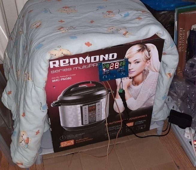 5.thumb.jpg.97b76d16d19f3129ef9674cf634d6bef.jpg