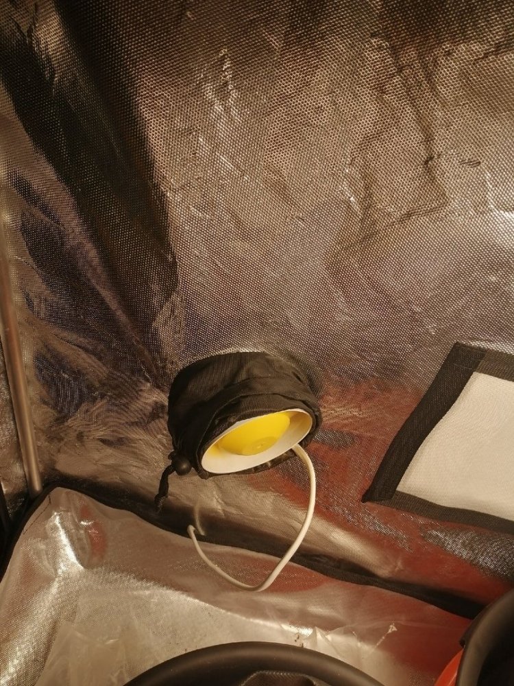 ca5nEASMeX4.thumb.jpg.d389a697082cca5aee6c3d89cf0ce345.jpg