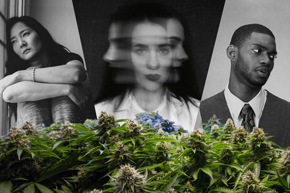 cannabis-cognitive(1).png