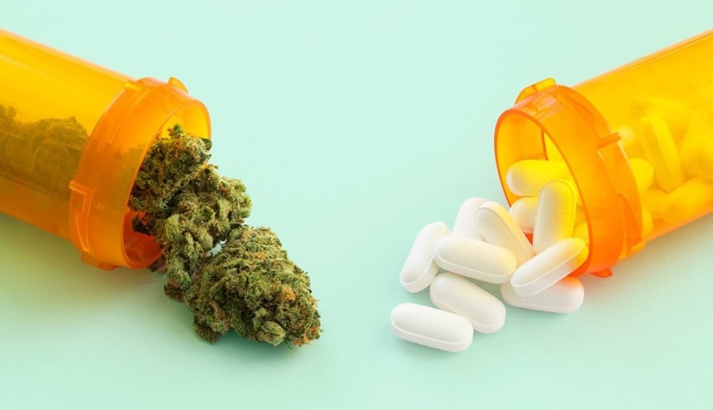 cannabis-drugs-intensify(1).jpg