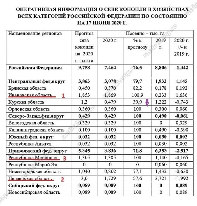 cannabis-grow-russia-2020.jpg