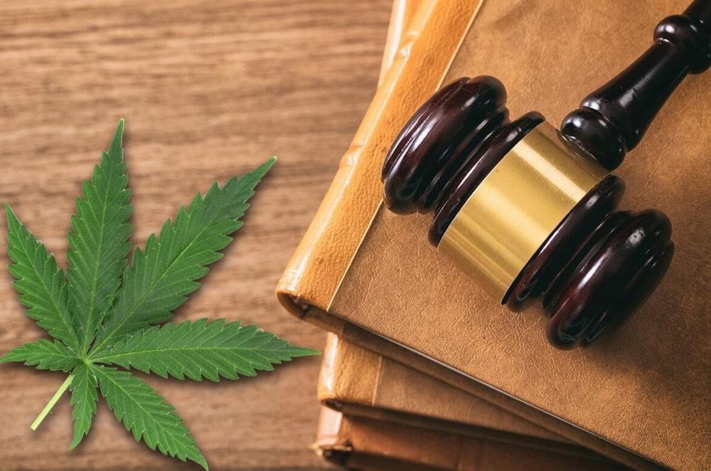 cannabis-legal-safe(1).png