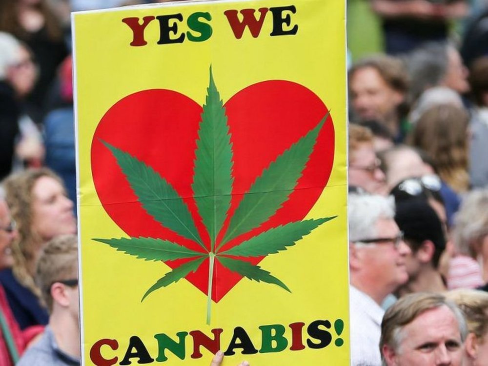 cannabis-ref-new-zealand.jpg