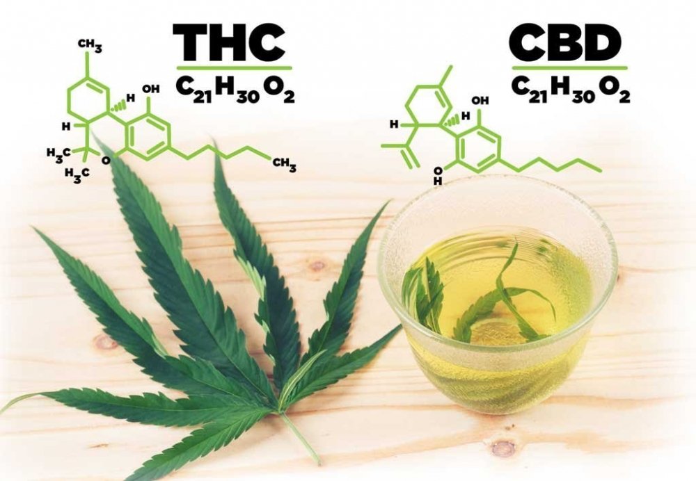 cbd-thc.jpg