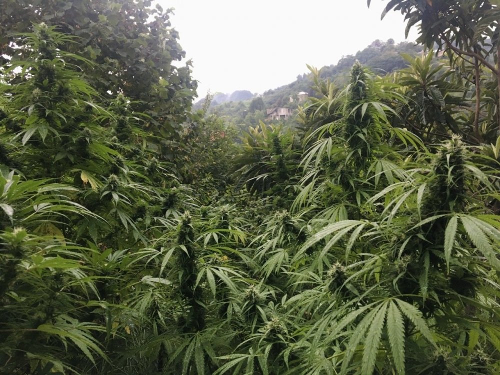 49434DE7-DE80-4258-96C8-031C0D83E0D4.jpeg