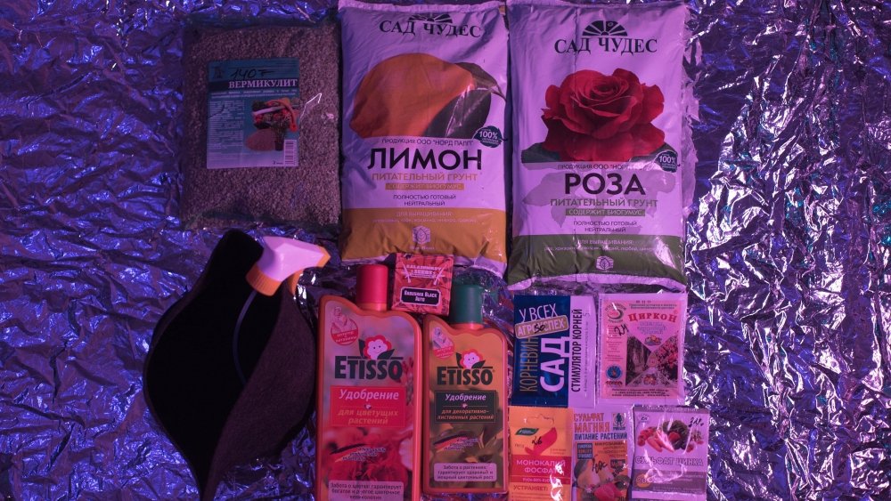 DSC02730.thumb.jpg.645fb871b41204d430fea9f3dc823dbc.jpg