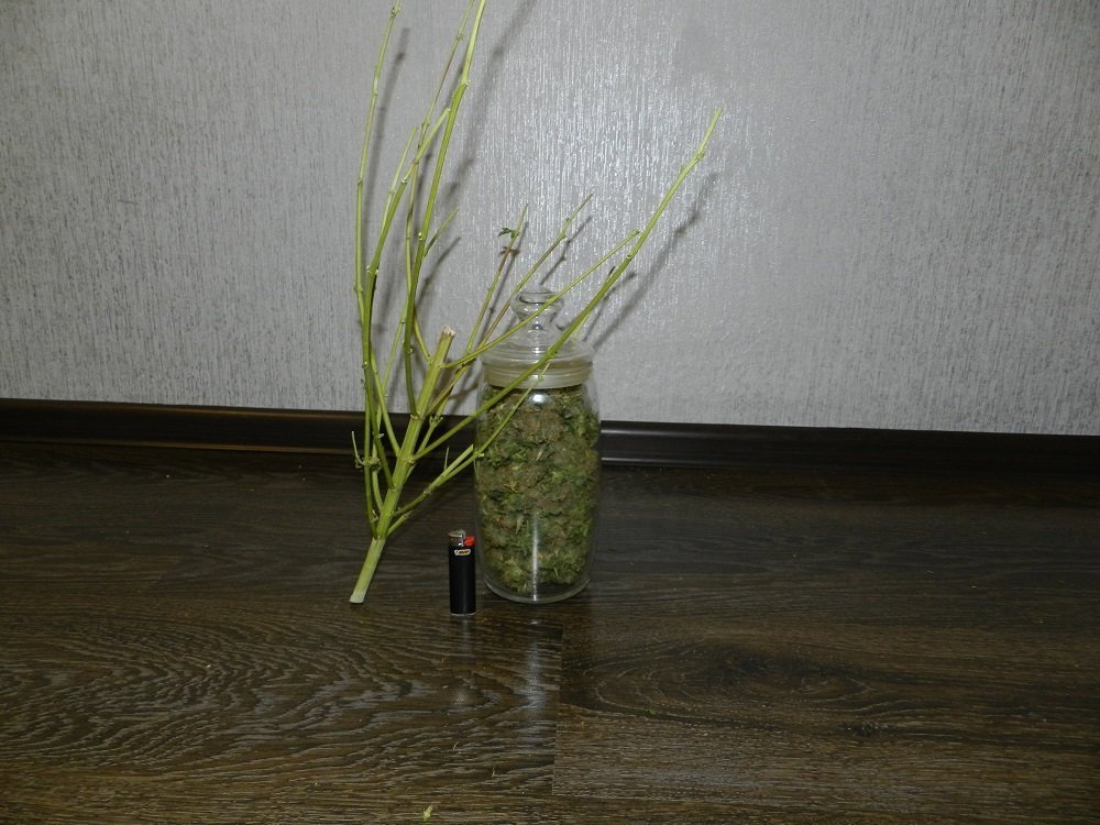 DSCN0040.thumb.JPG.e9ce1a3a89dd8243d1670ff5c5337ec5.JPG