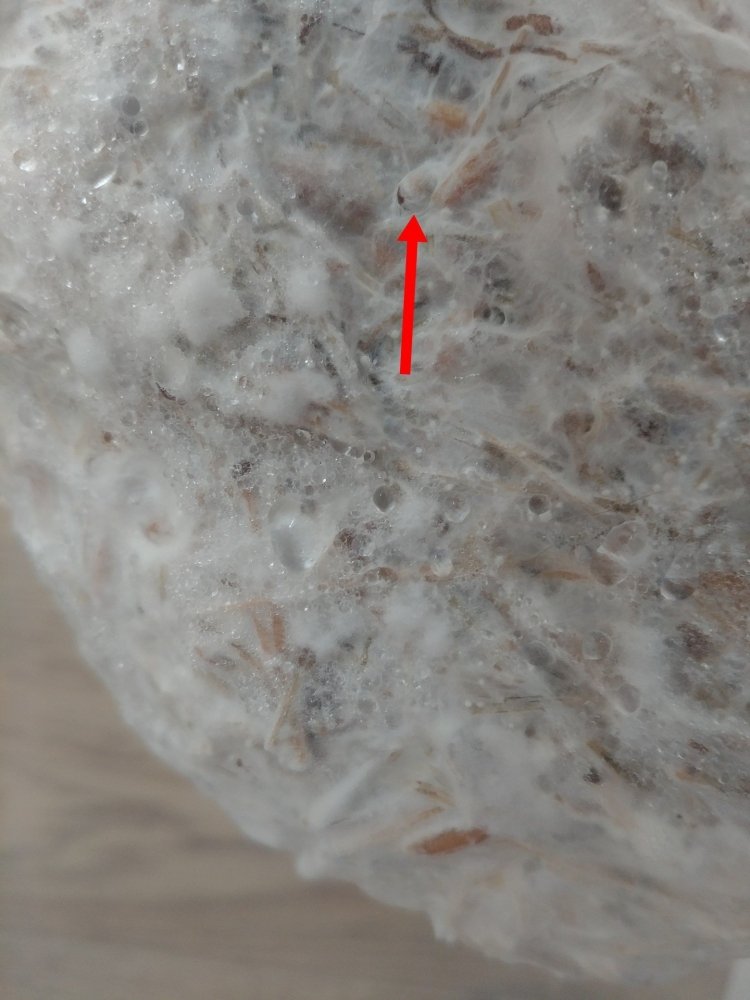 Screenshot_20200922_113720.thumb.jpg.a3fd111c261763b45653984f39c7abc1.jpg