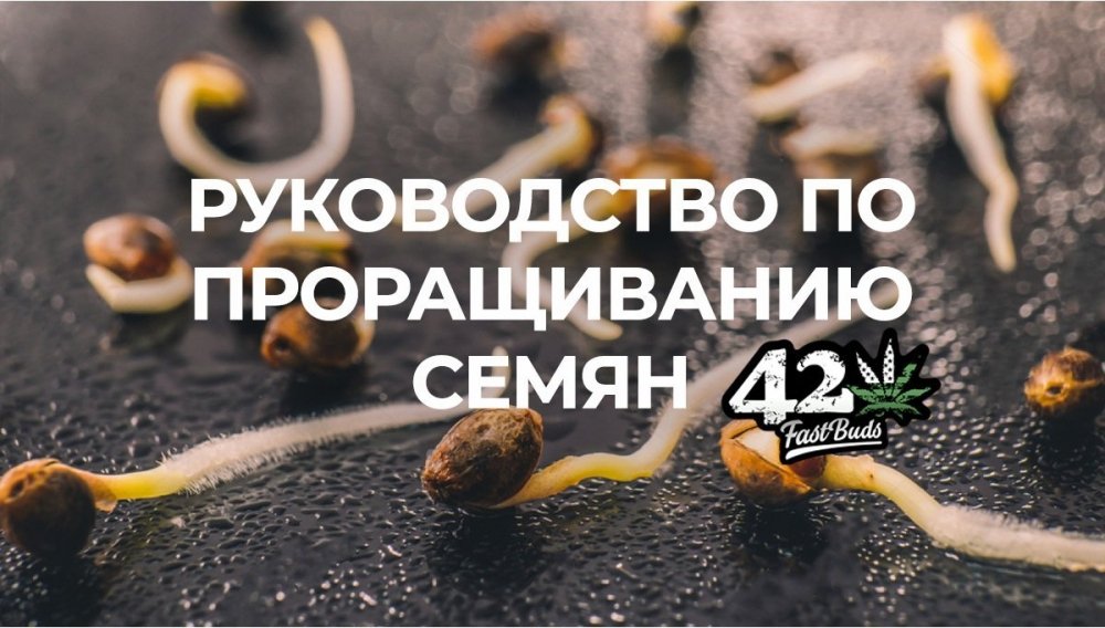 bg_23d573c7abff833a5bb30f11e2d33987.thumb.jpg.3bfff9c834b238c1131564c727ce9331.jpg