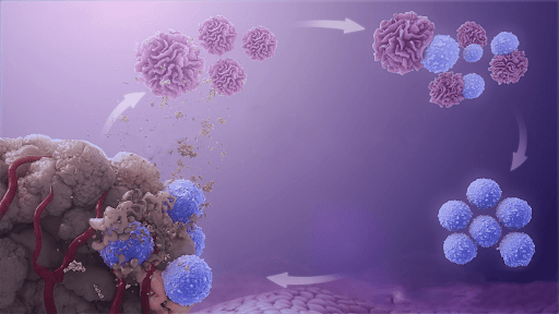 cancer-immunotherapy.png