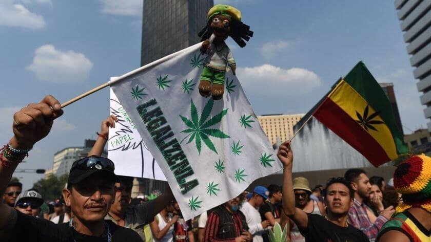 mexico-cannabis-activists(1).jpg