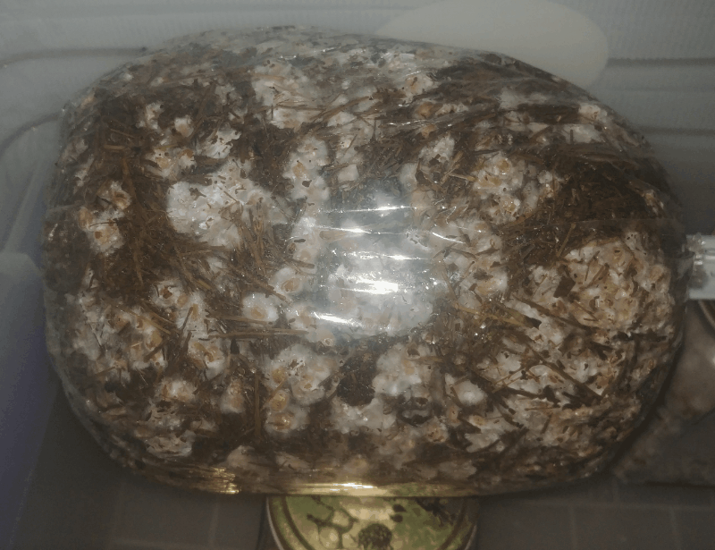 125622910_Gifius_ru.thumb.gif.530c2b1b5c3d8900fa005ac0d592fc80.gif