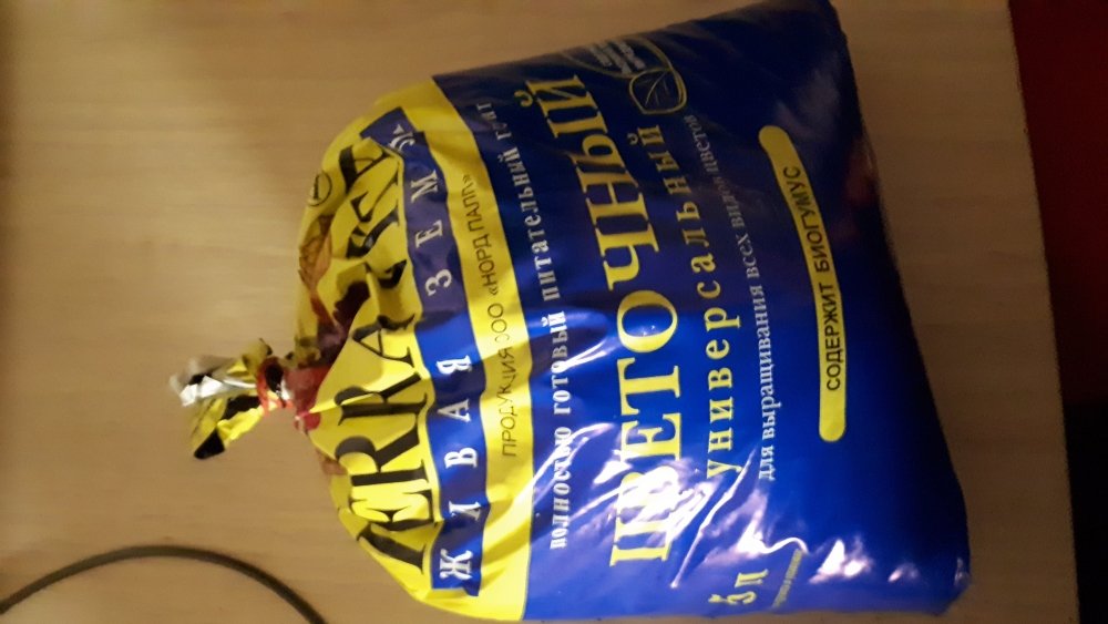20201003_223706.jpg