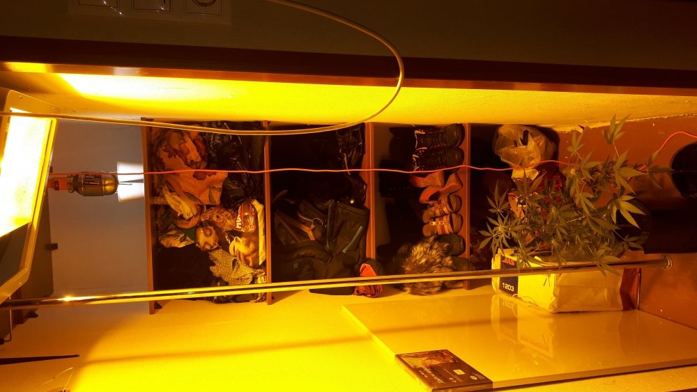 20201005_231032.jpg