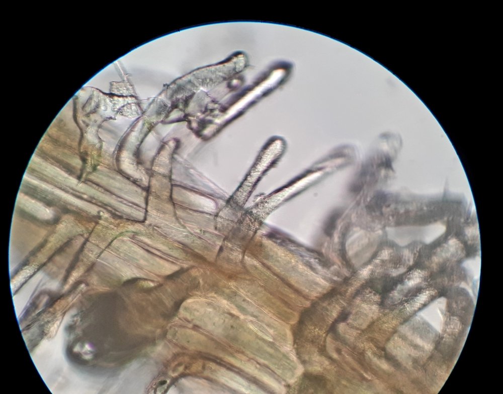 20201020_230725.jpg