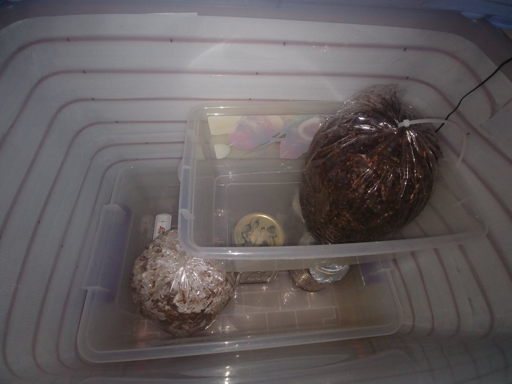 20201022_190011.thumb.jpg.5d12210ce150fad60e9a9adacd704dcb.jpg
