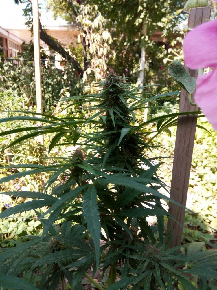 2020-10-06 21.44.37.jpg