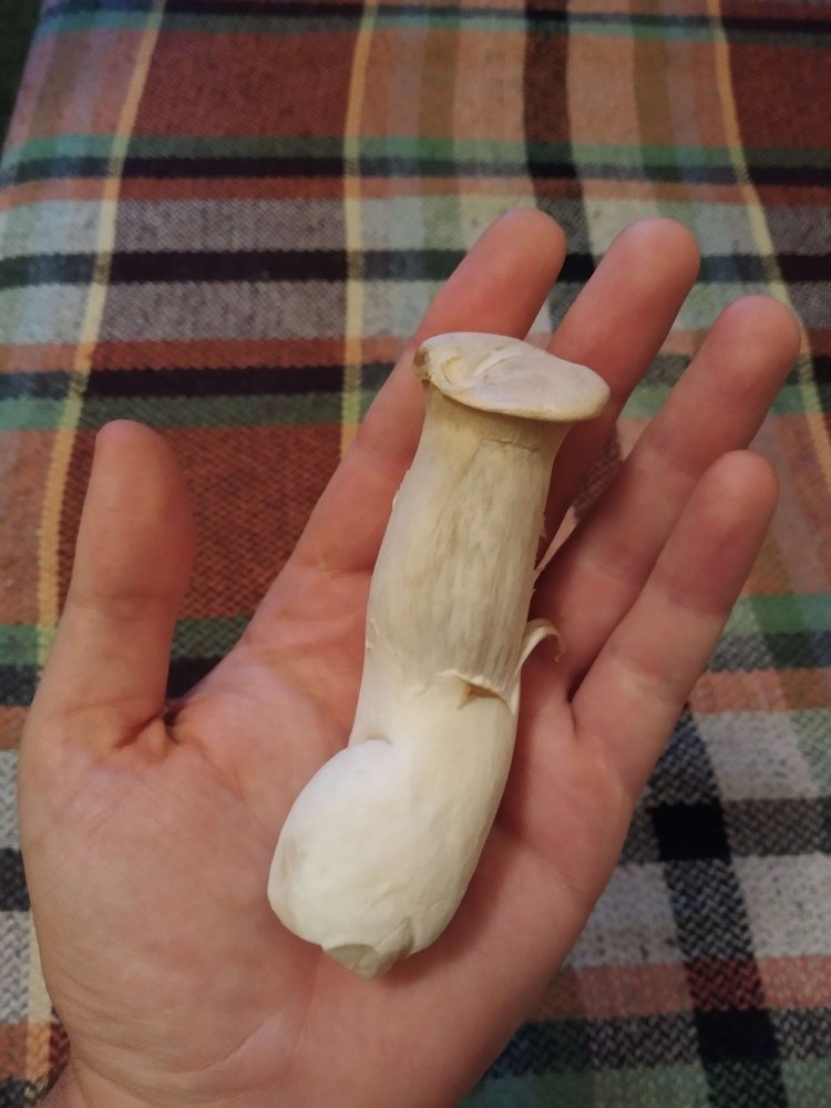 658915451_2020-07-2320-31-43.thumb.jpg.e48506384d0b6a55057407331bafa811.jpg