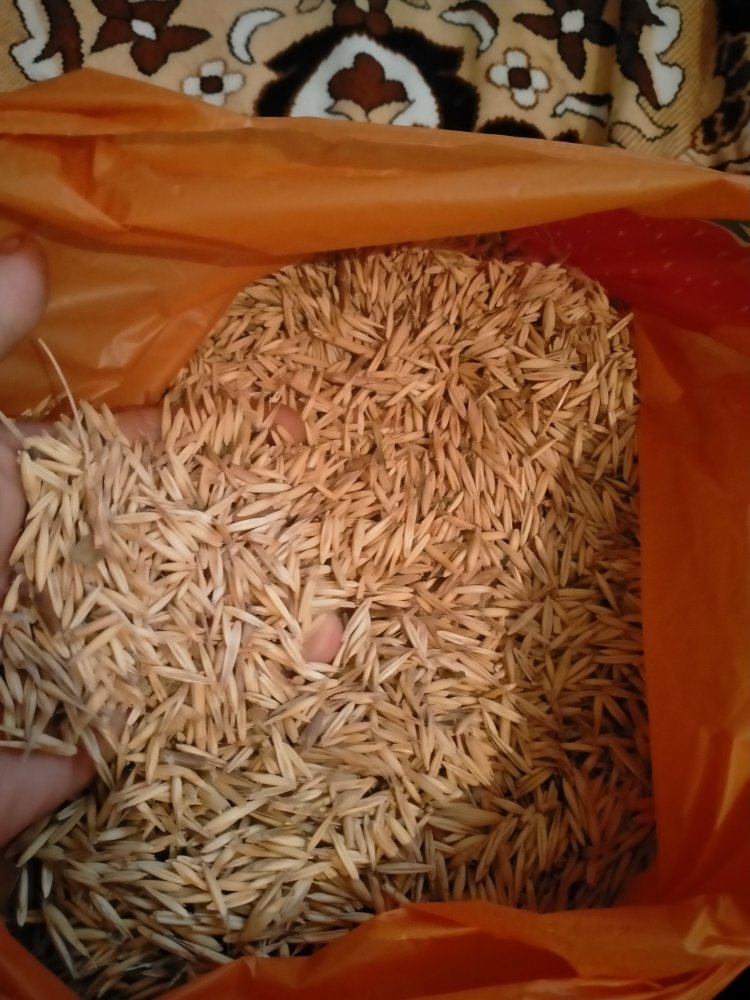 IMG20201006172216.jpg