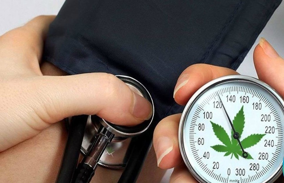 cannabis-effect-vascular.jpg