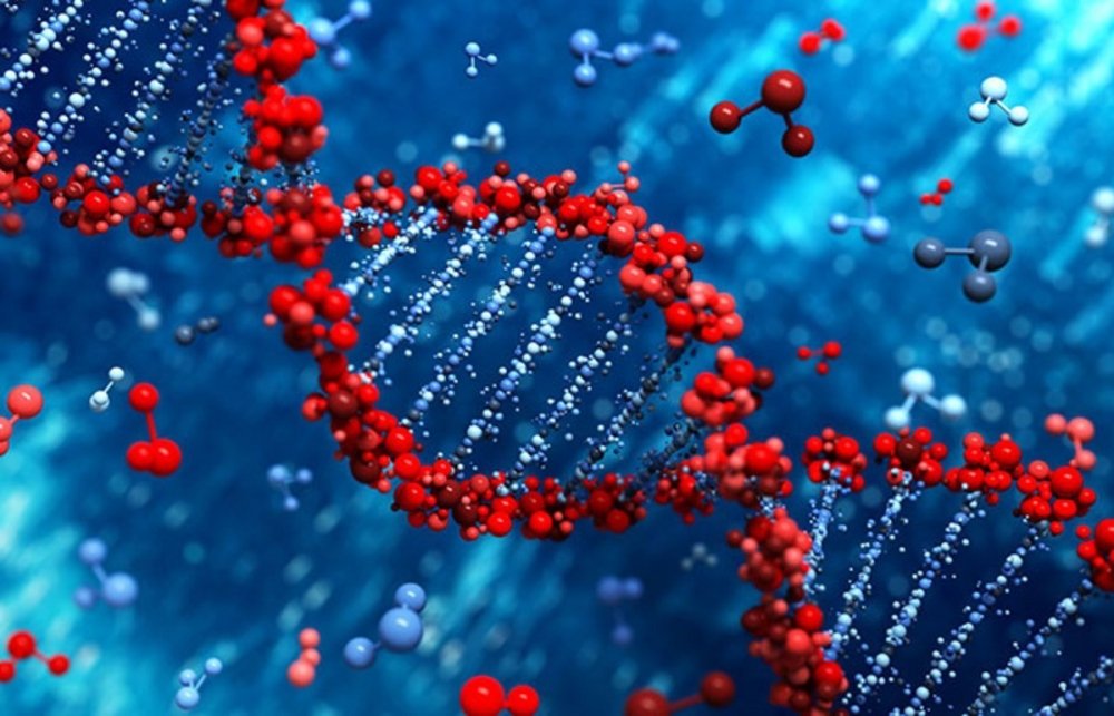 cannabis-genes.jpg