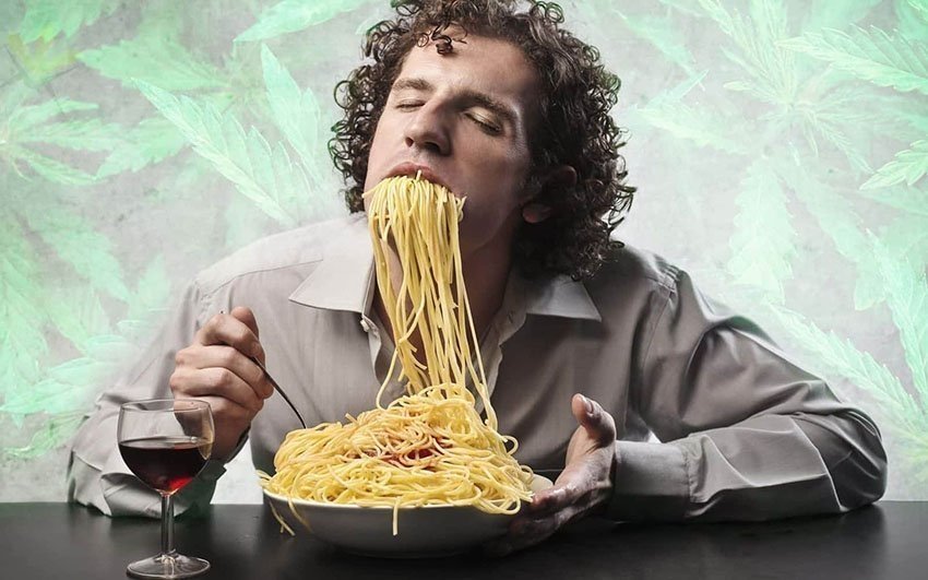 cannabis-munchies.jpg