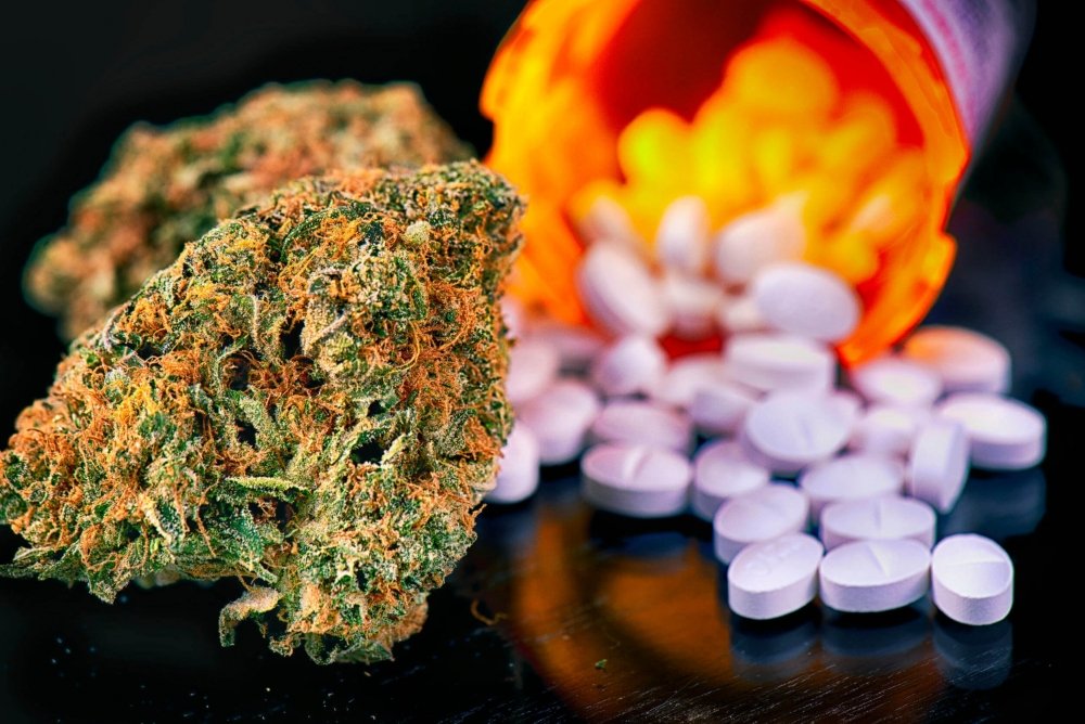 cannabis-opioids(1)(1).jpg