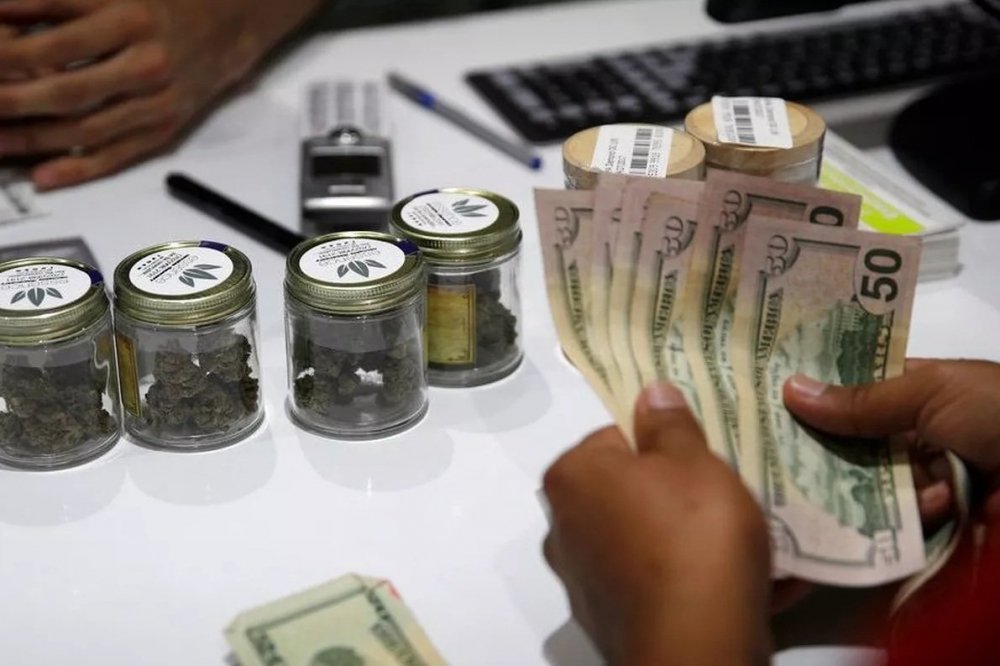 cannabis-sales-up.jpg
