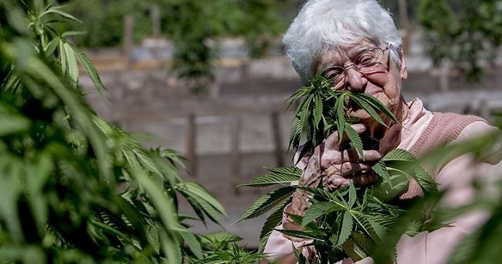 cannabis-seniors-treat.jpg