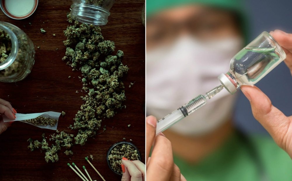 cannabis-tolerant(1).jpg
