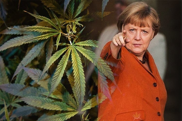 medcan-germany.jpg
