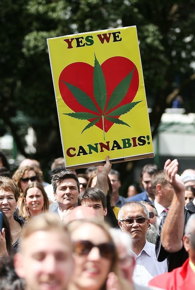 nz-cannabis-activists(1).jpg