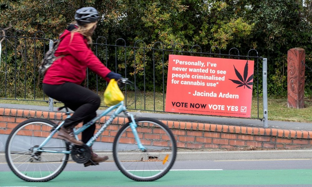 nz-cannabis-ref-board(1).jpg
