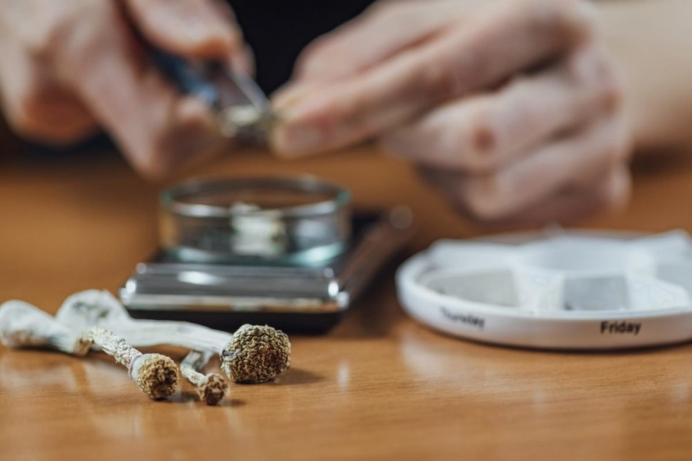 psilocybin-oregon.jpg