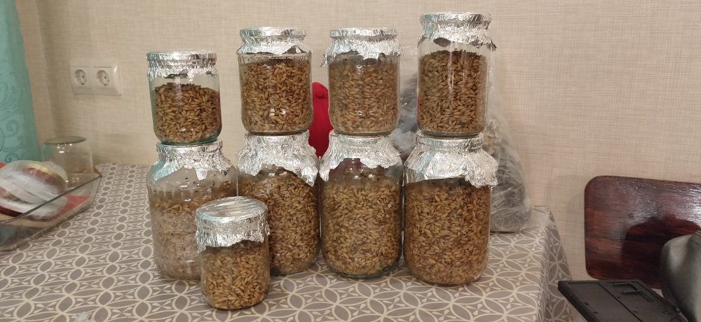 Все банки после стерилизации.jpg