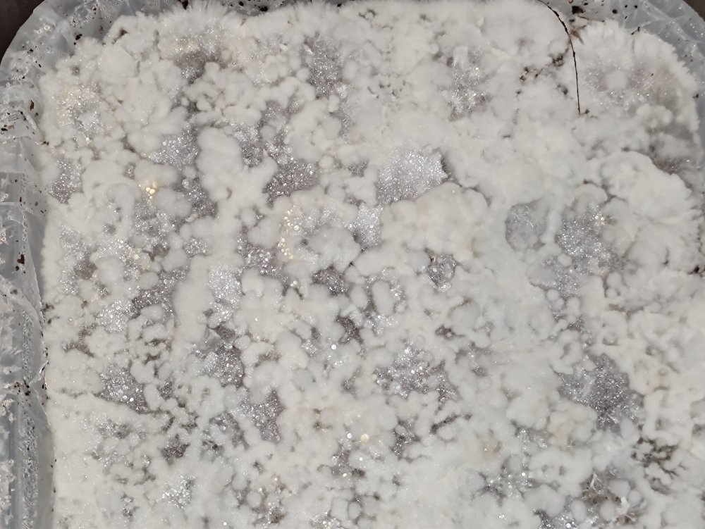 16_11.2020_zoom1.thumb.jpg.f7a7d62203ee548e35888fd3903521fe.jpg