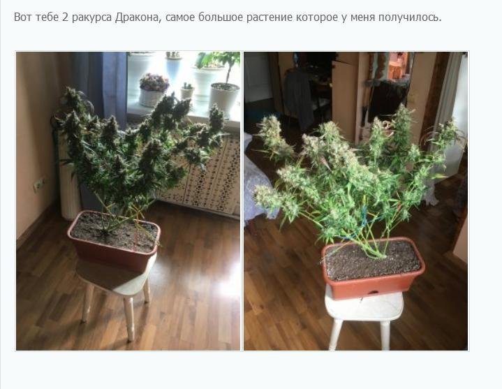1703768161_21.thumb.JPG.0d0f41afbd15482d51480e84b188451a.JPG