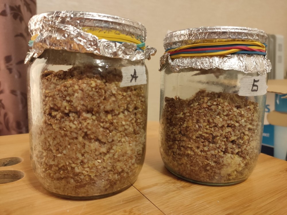 ЭКСПЕРИМЕНТЫ КУКУРУЗА.jpg