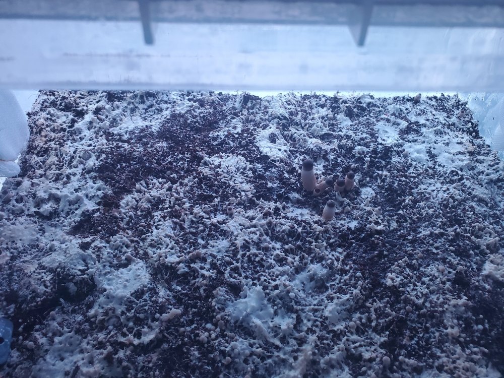 20201109_072959.jpg