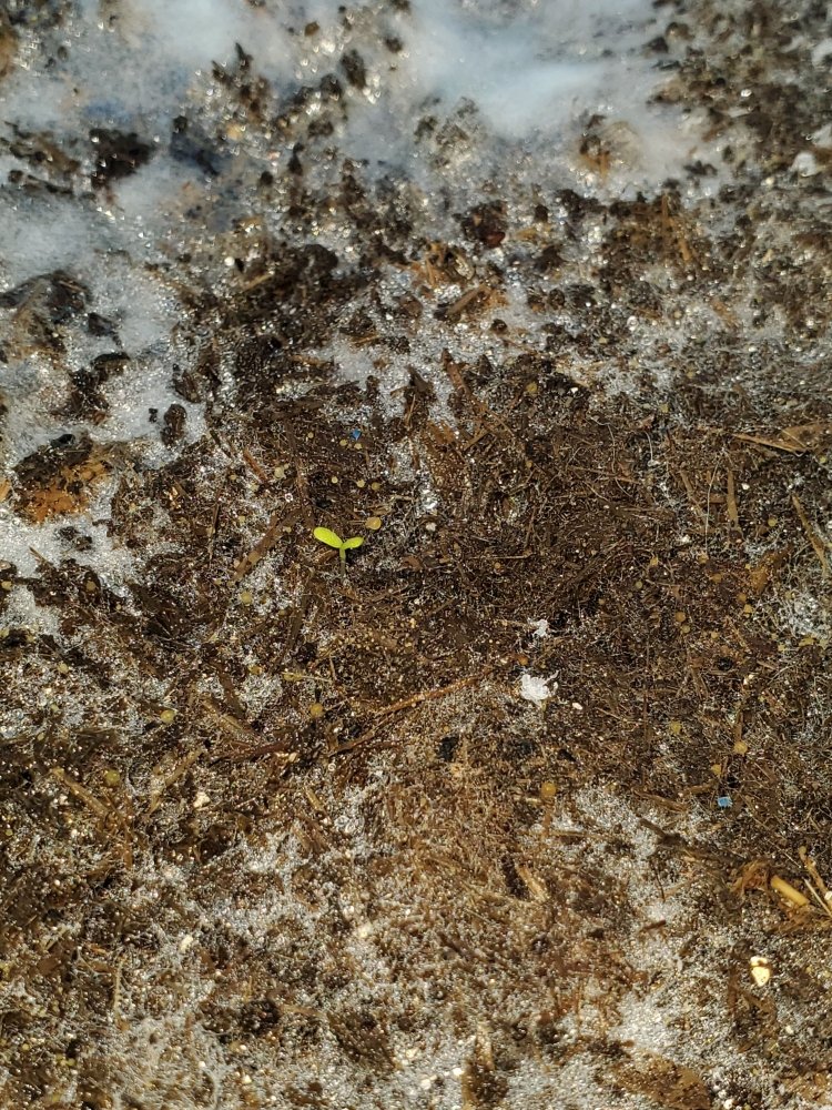 20201120_221130.jpg