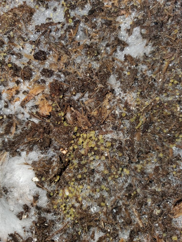 20201122_171800.jpg