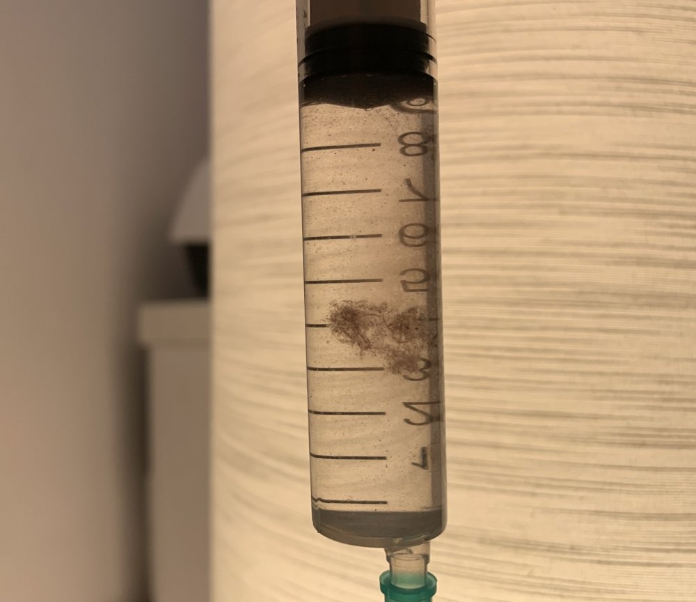 2020_11_15_19_10_IMG_4583_cleaned.jpg