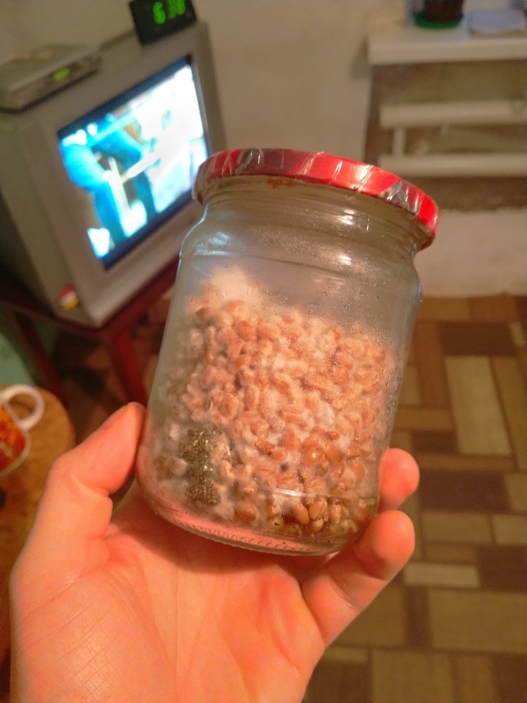 IMG20201104063848.jpg