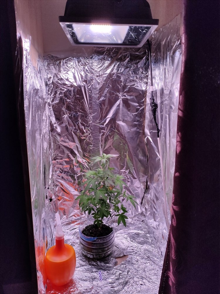 IMG20201108080248.jpg