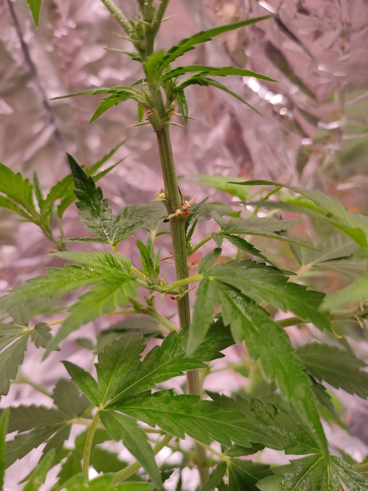 IMG20201108080432.jpg