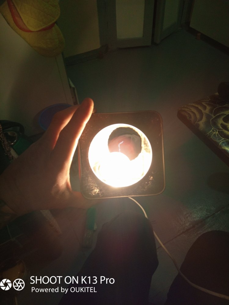 IMG_20201128_183758_9.jpg