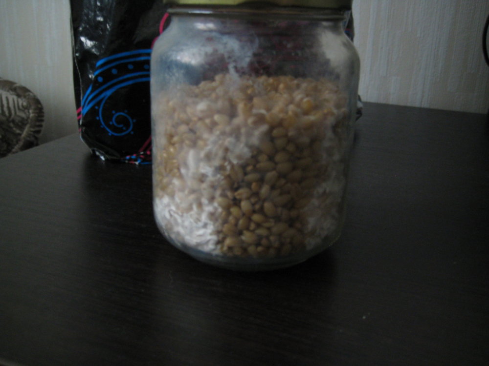 IMG_5615.thumb.JPG.7522177e6981978a2bce1f5d41efa954.JPG