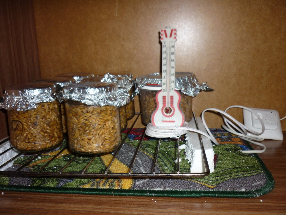 P01.thumb.JPG.1d59c9cb8896cb8dcb3bb2a066d99399.JPG