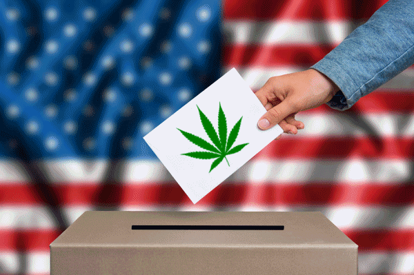 cannabis-vote-usa.png